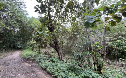 Savegre de Quepos