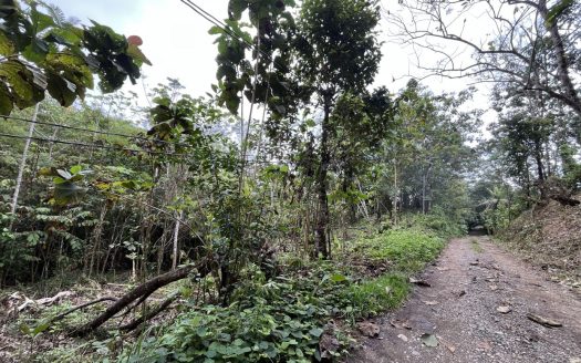 2.5 Acres near the beach Playa Linda, Quepos – Perfect for Your Dream Home or Vacation Rentals!