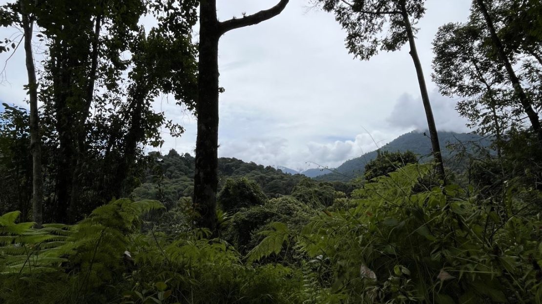 Costa Rica Real Estate