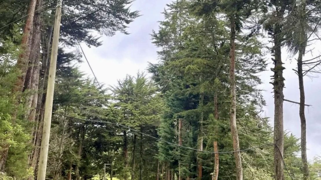 Invest in Nature: Discounted Mountain Property in Dota Costa Rica