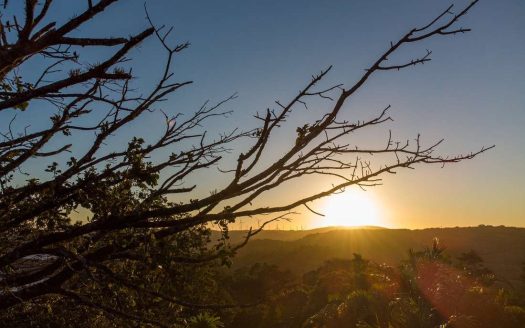 Lake view cabin complex