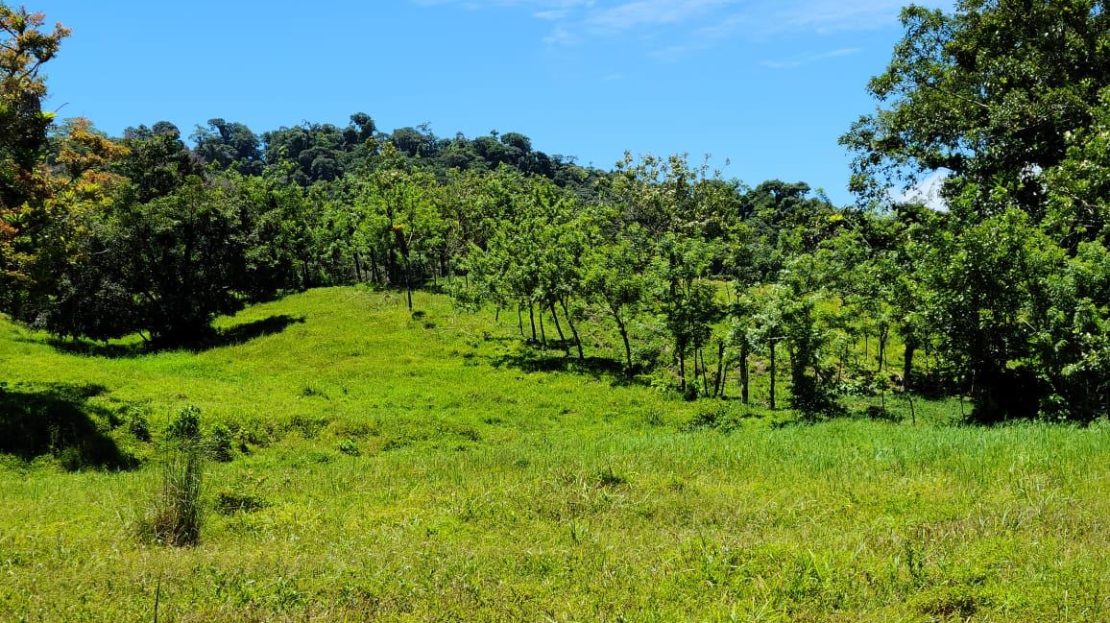 Lake and Volcano view Lot