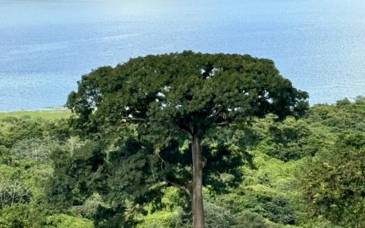 Lake and Volcano view lot