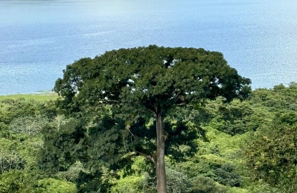 Costa Rica Real Estate