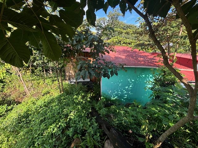 Costa Rica Real Estate