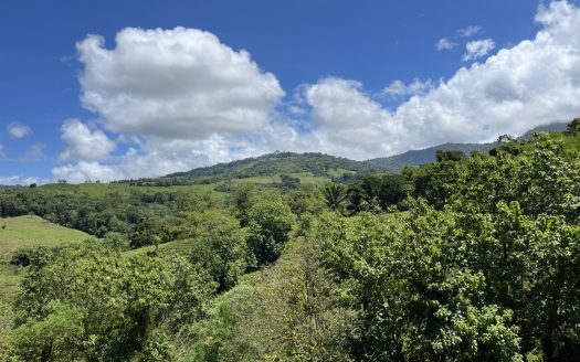 Savegre de Quepos