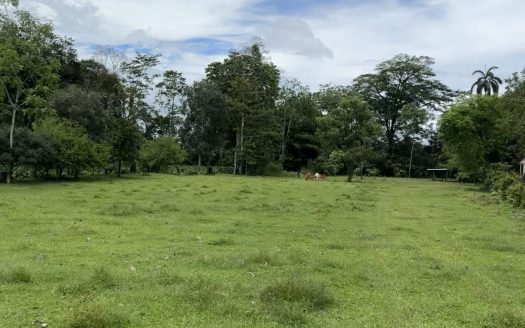 San Carlos -  La Fortuna