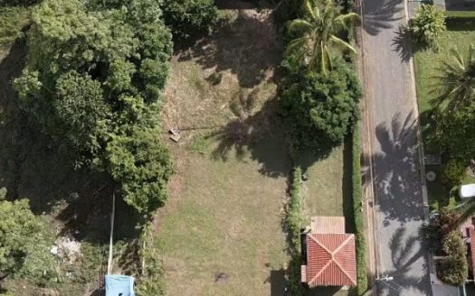 Parrita