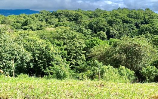 Peaceful Lake View Lot in San Luis, Tilaran, Guanacaste