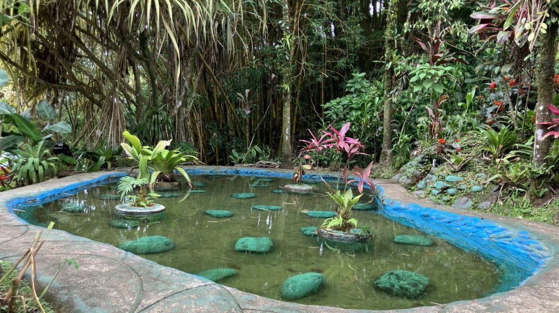 Eco Lodge for Sale in the heart of Costa Rica rainforest