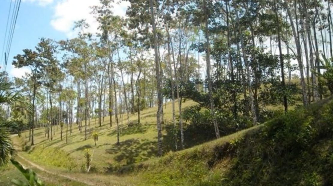 Three individual lots for sale in Chautaugua