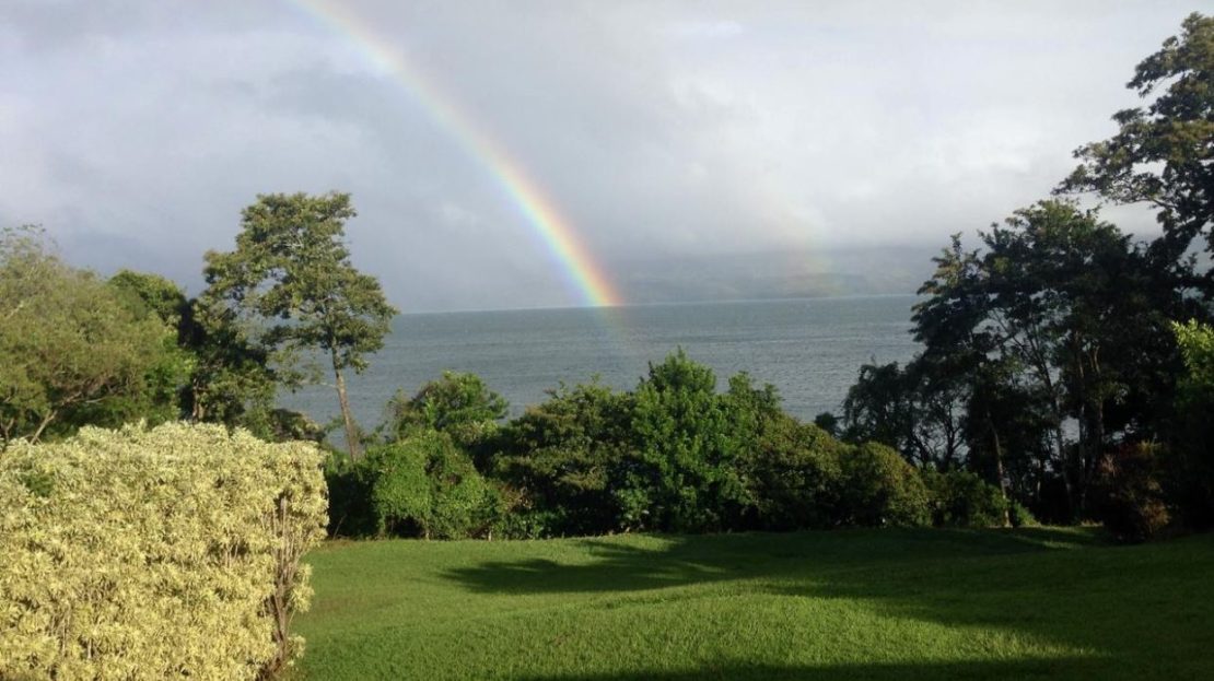 and Investment Appeal $595