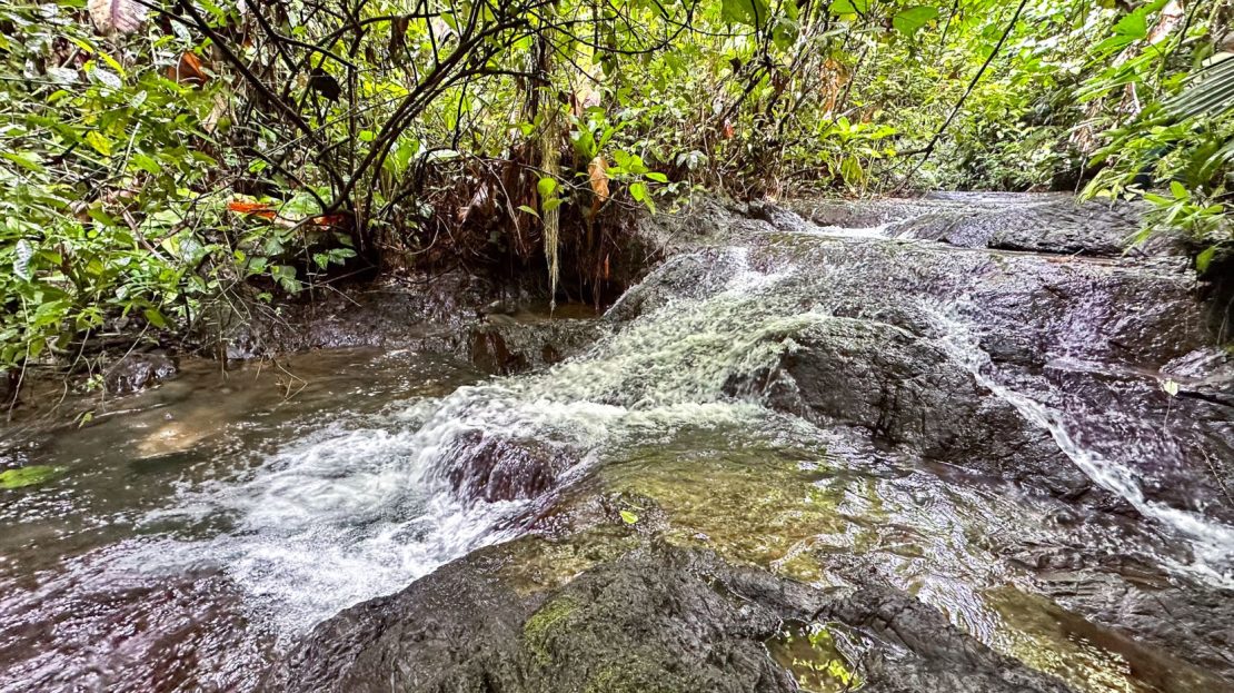 Costa Rica Real Estate