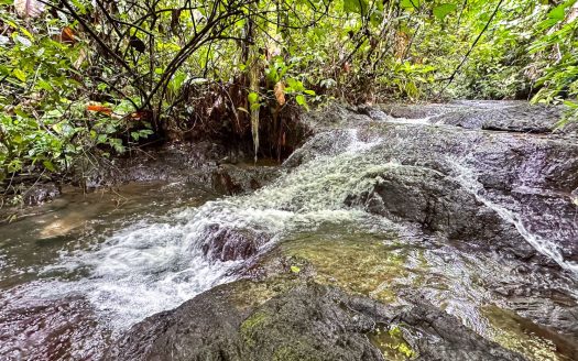Incredible 30.4 Hectare Finca near Manuel Antonio for the Best Price – Ocean Views, Private Waterfall & River