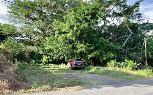 Affordable Investment Opportunity in Nuevo Arenal – Central Lot! Low Price!