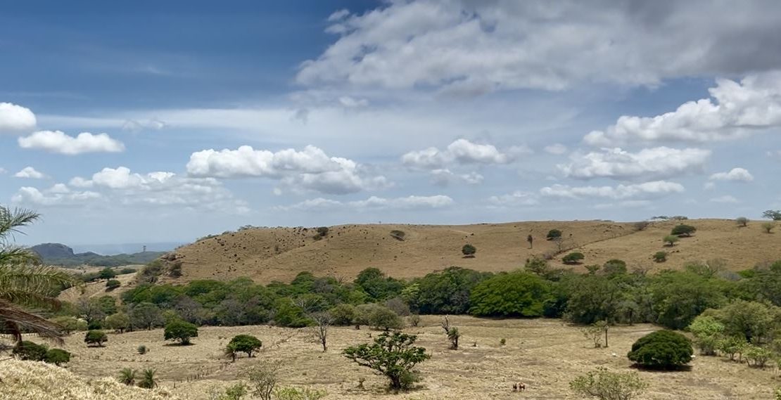Tilaran