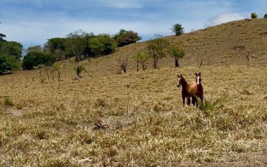 78 Hectares in Tilaran Guanacaste – Renewable Energy & Carbon Credit Potential with Agricultural and Ecotourism Upside