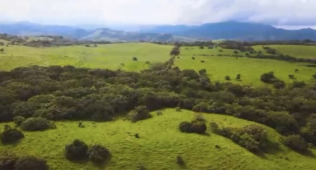 Costa Rica Real Estate