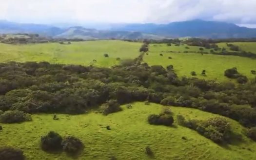 78 Hectares in Tilaran Guanacaste – Renewable Energy & Carbon Credit Potential with Agricultural and Ecotourism Upside