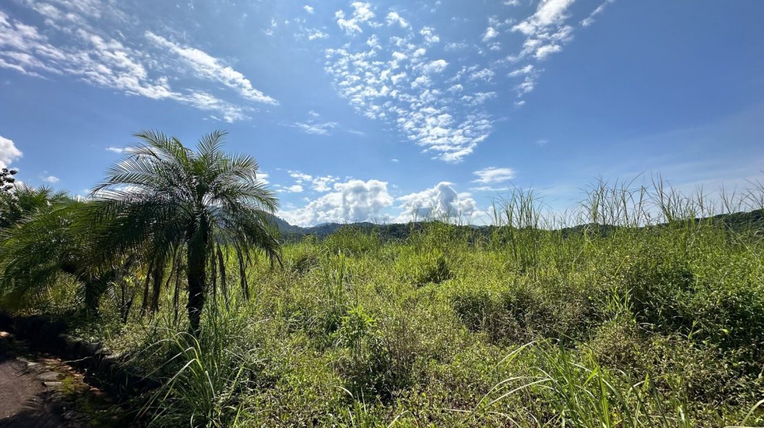 Lot L-29 Villas del Rio Londres Manuel Antonio