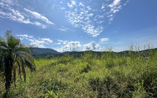 Quepos