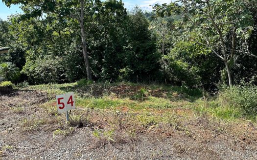 Lot L-54 Gated Community / Londres Manuel Antonio