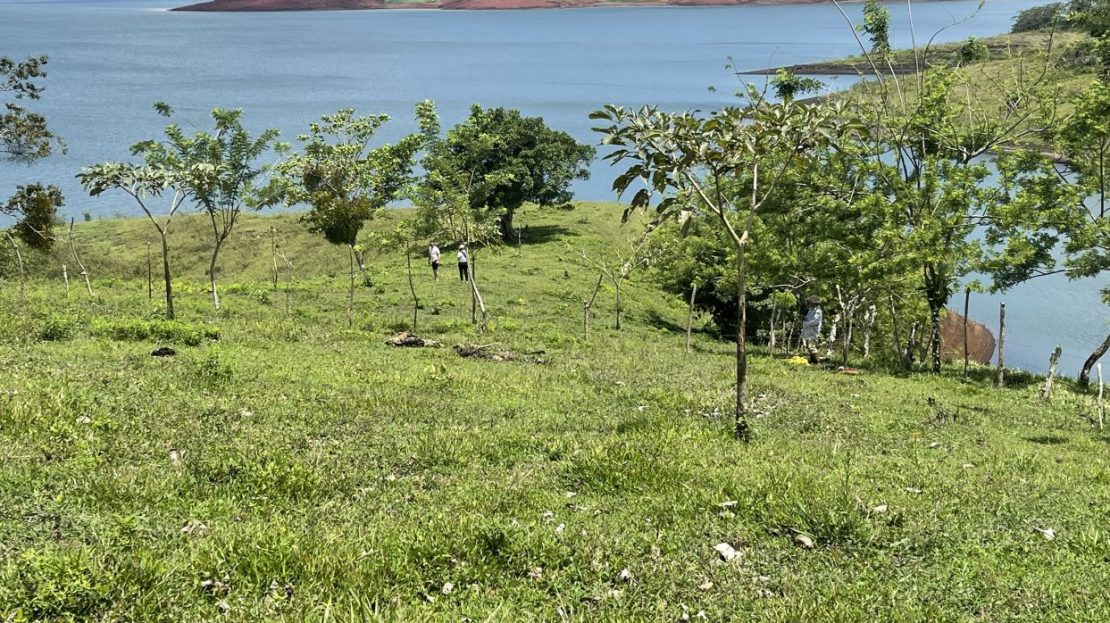 UNIQUE LAKE ACCESS LOT