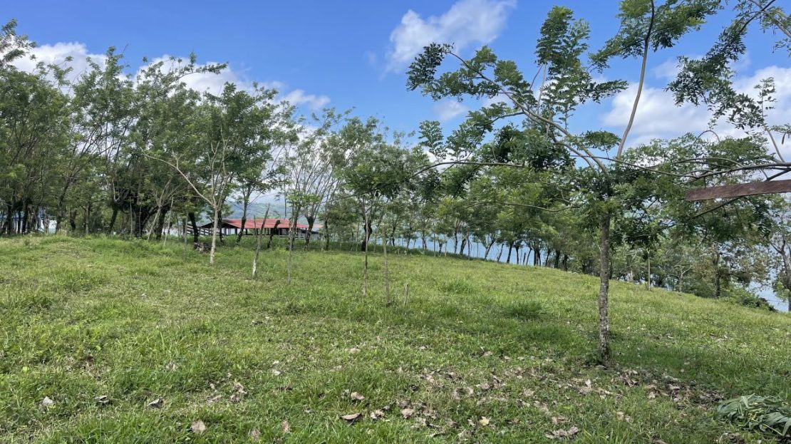 Costa Rica Real Estate