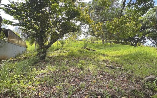 Quepos
