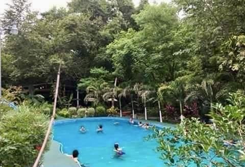 Bagaces