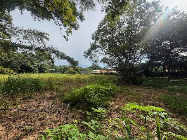 Beautiful lot for sale in a private community with common gate 3 minutes from Atenas Center