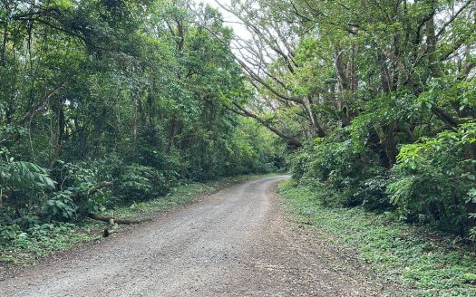 Tropical Nature Preserve of over 90 Acres in “La Reserva”, near Lake Arenal, Costa Rica for Sale
