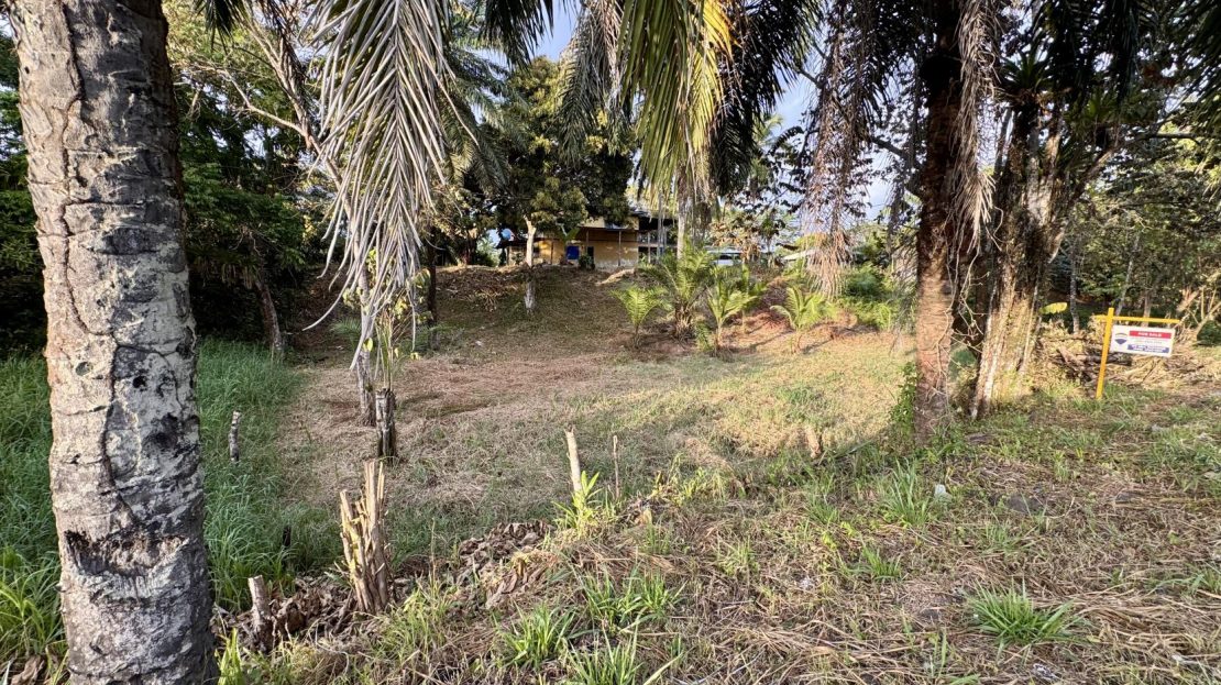 Costa Rica Real Estate