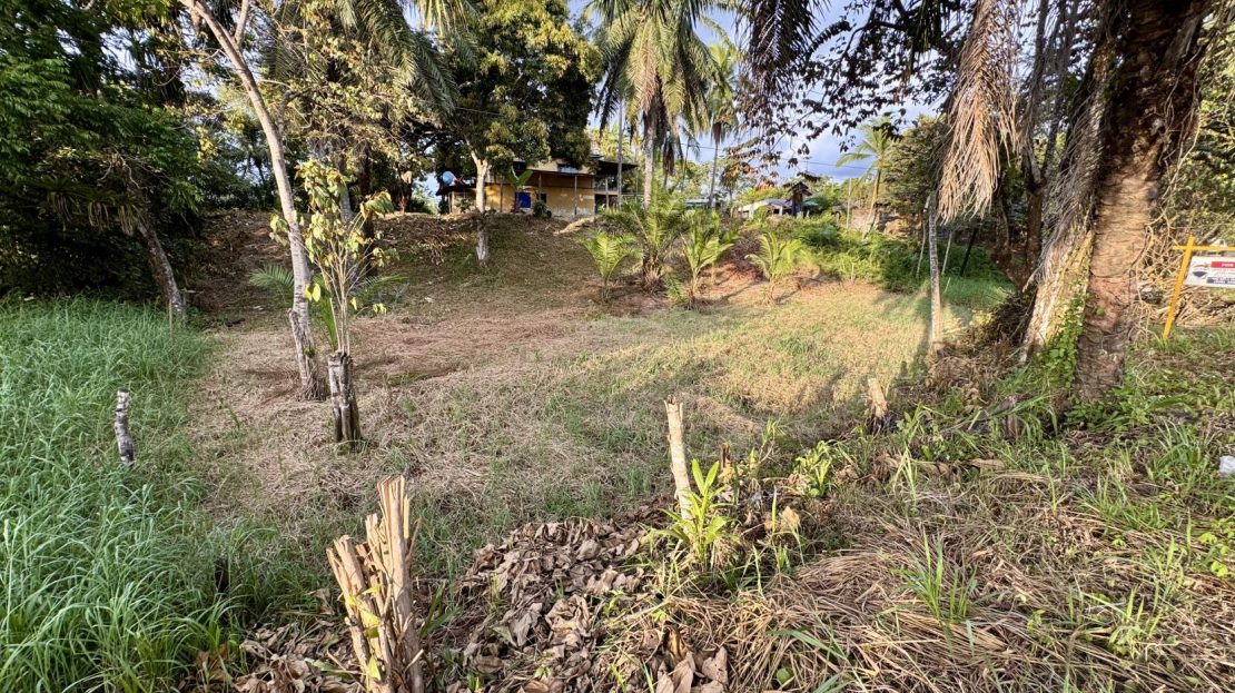 Strategically located land for sale.