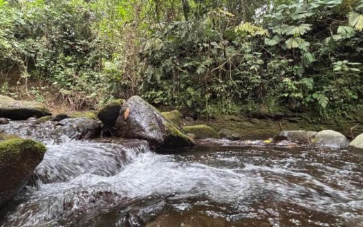 San Carlos -  La Fortuna