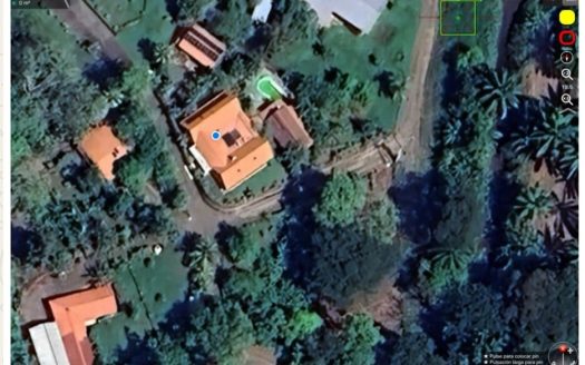 Parrita