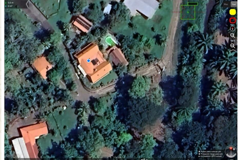 Parrita