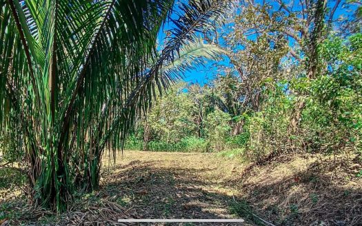 LOT TIA in Samara Woods – Unique Opportunity under $25/m² Near Playa Sámara