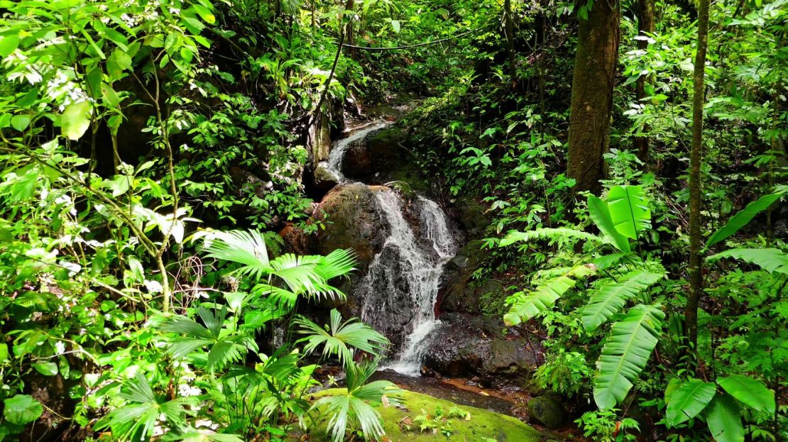 Quepos