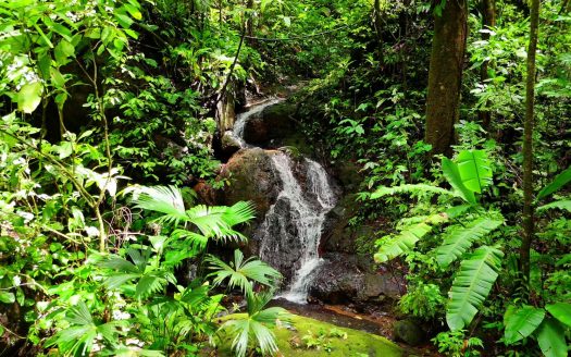 Quepos
