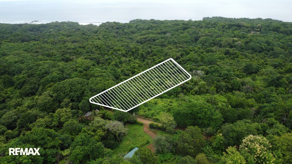 Nosara Guanacaste | REMAX