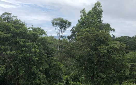 Partial Ocean View Lot in Drake Bay – 1200 Square Meters with Investment Potential