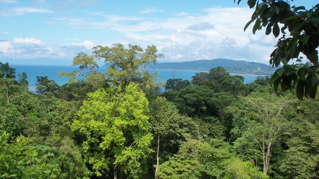 Osa>Bahía Drake Real Estate Listings 26839