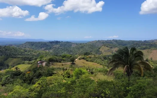 82-hectare property Ciudad Cortés Costa Rica — Development Opportunity