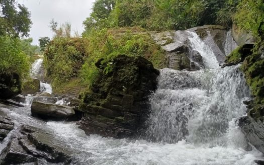 Quepos