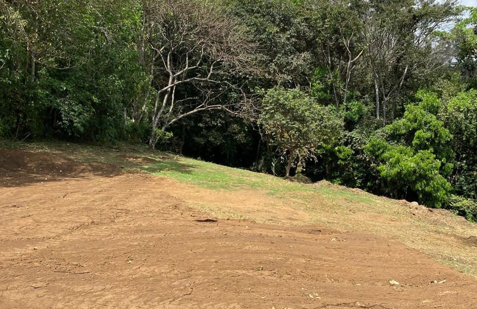 2 lots for sale at $195
