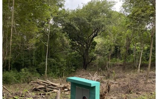 Prime Beachside Land for Sale – Playa Órganos, Costa Rica