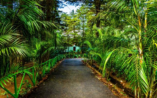 TURNKEY TOURISM PROPERTY IN SABANA REDONDA, POÁS, ALAJUELA