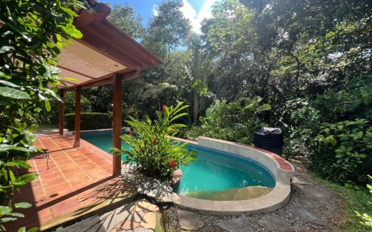 Dominical
