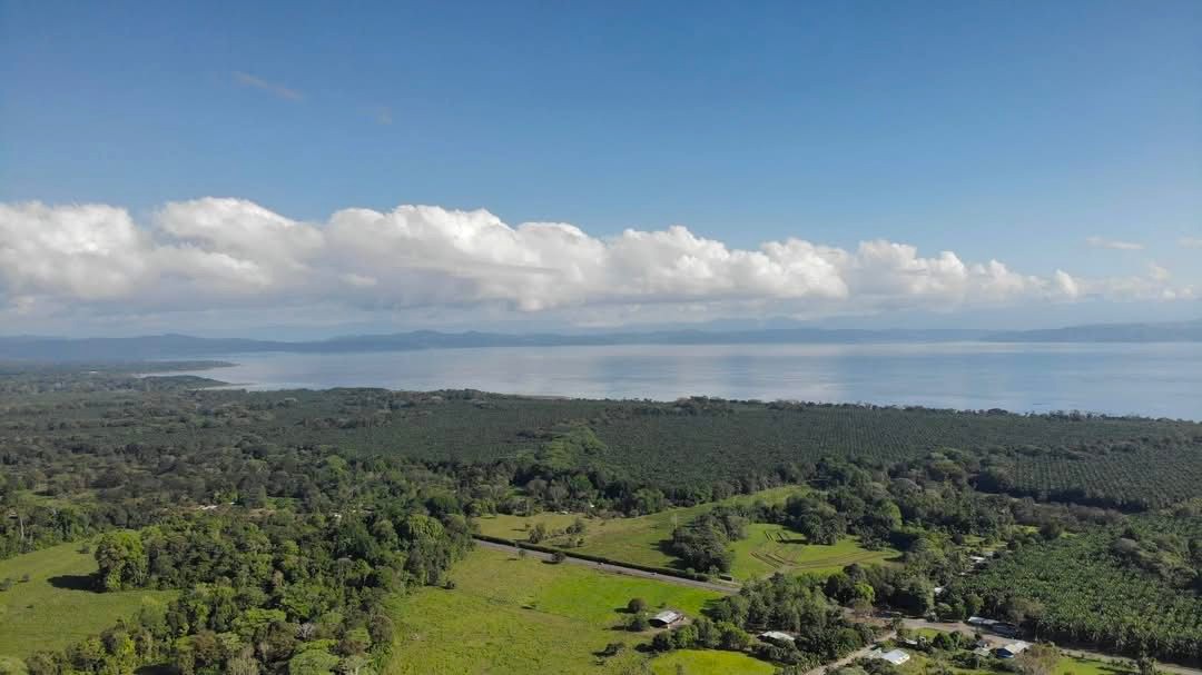 Puerto Jiménez Real Estate Listings 29599